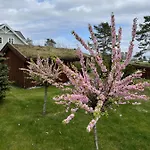 Ny Gardsleilighet I Nevlunghavn