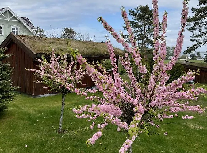 Ny Gardsleilighet I Nevlunghavn
