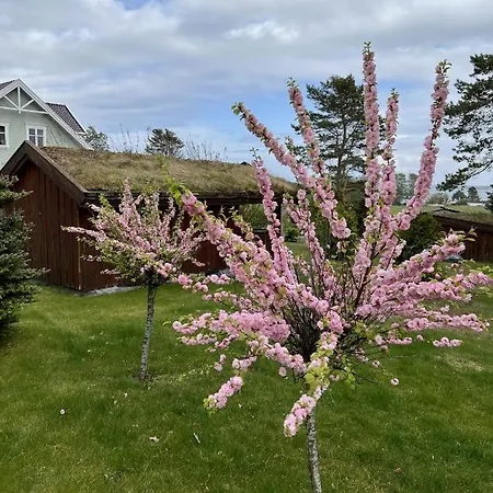 Ny Gårdsleilighet I Nevlunghavn